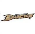Anaheim Ducks