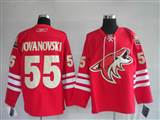 Phoenix Coyotes